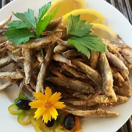 酒店 Family Dayana 辛尼莫雷特
